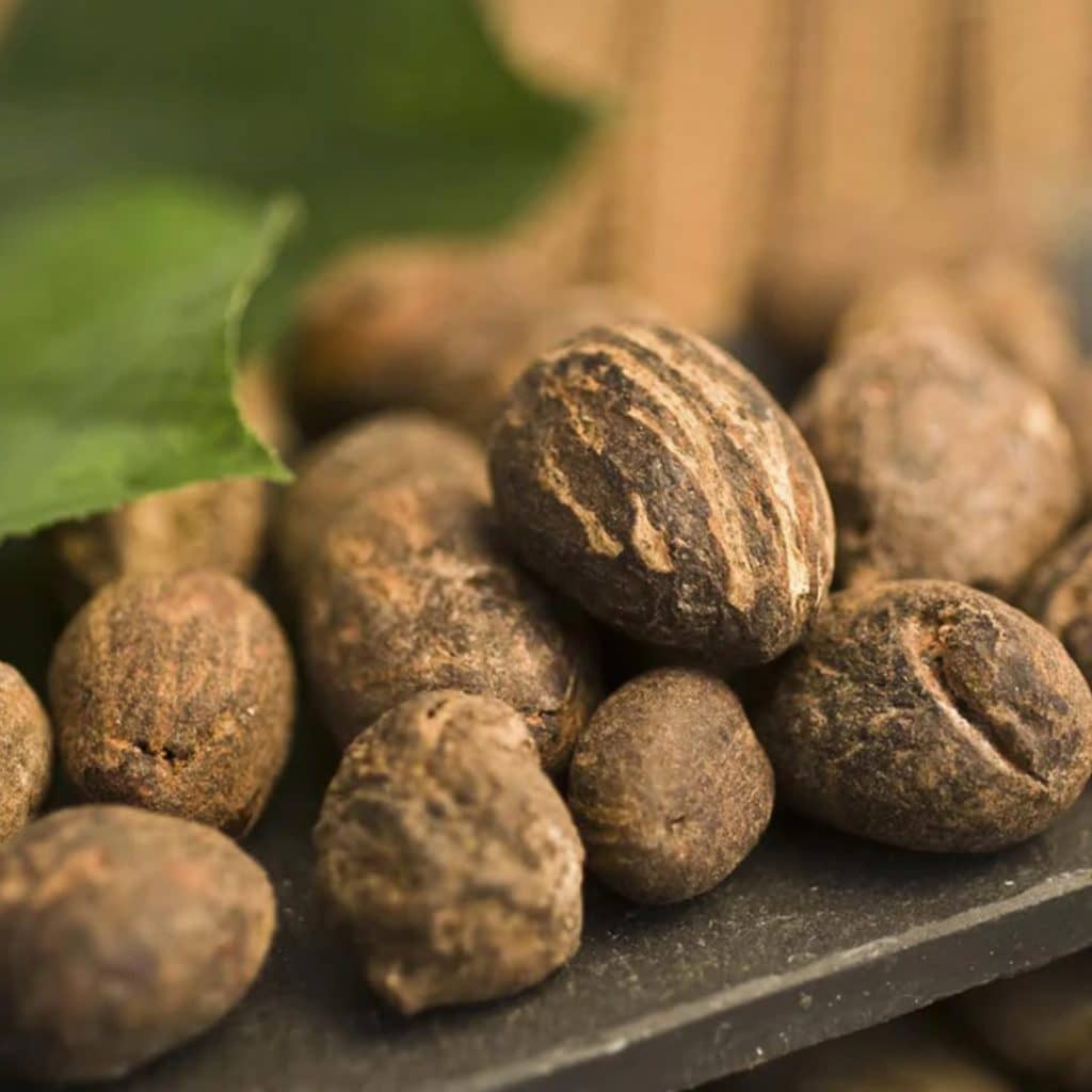 Shea Butter: The Bioactive Benefits and Scientific Potential for Skin Health